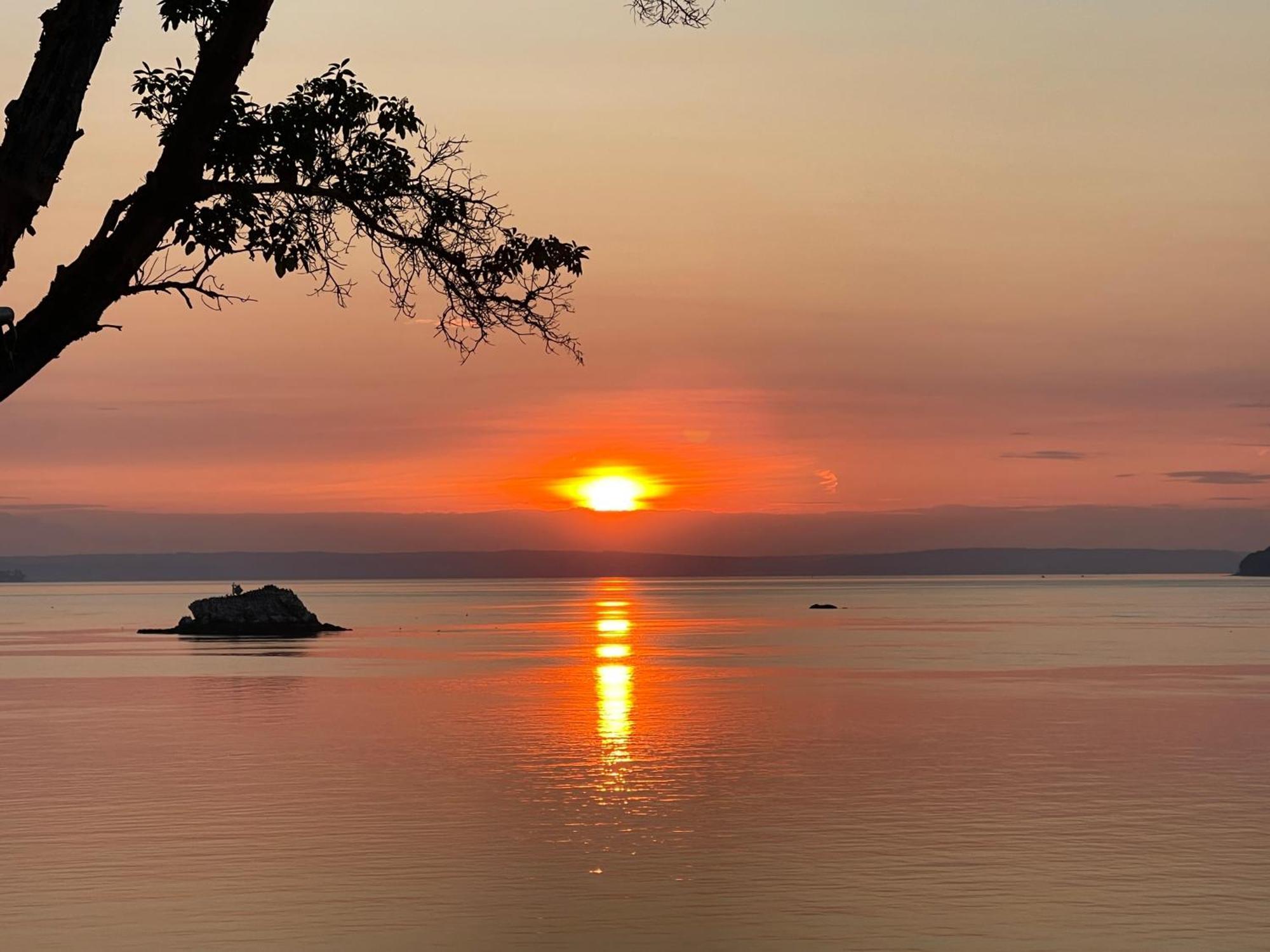 Puget Sound Chic Romantic Cottage With Private Beach Access & Gated Entry Port Ludlow Экстерьер фото