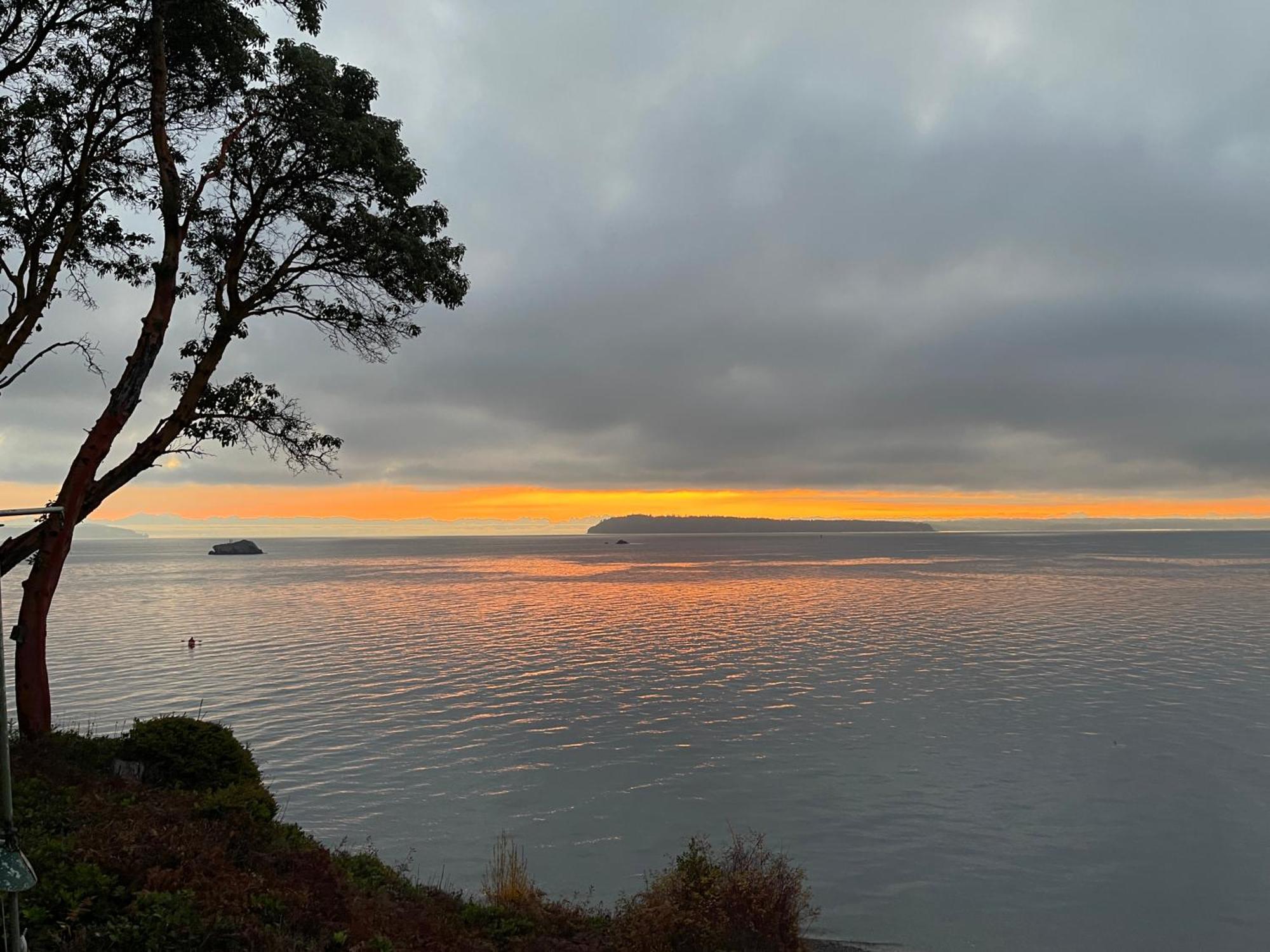 Puget Sound Chic Romantic Cottage With Private Beach Access & Gated Entry Port Ludlow Экстерьер фото